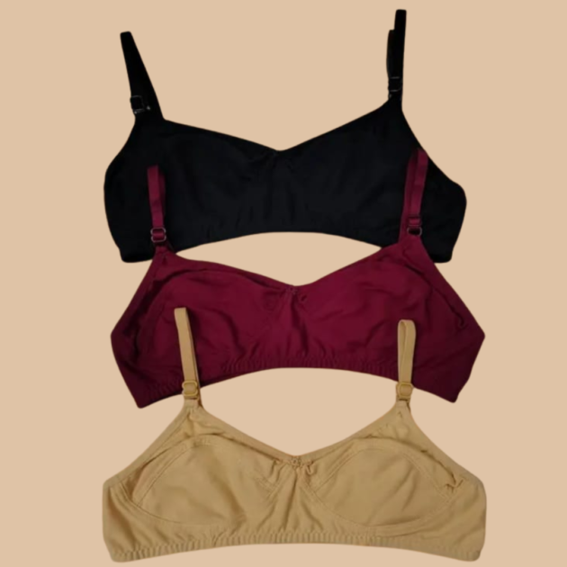 Glorious Women's Apple Net Bras Multicolor [Pack 2] - Image 3
